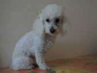 /album/fotos/de-todo-122-jpg/